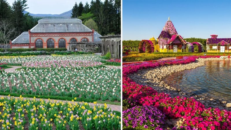 A Romantic Escape: Exploring the Grand Gardens of Biltmore House