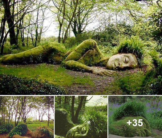 Seasonal Metamorphosis: Living Artistry in the Lost Gardens of Heligan