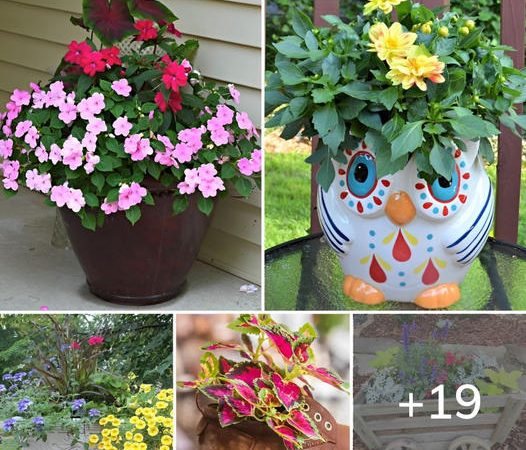 Creative Flower Container Gardening