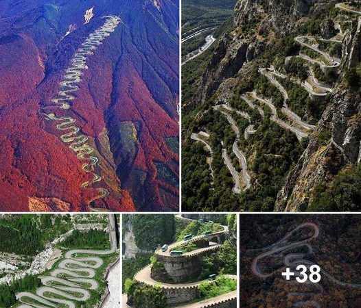 Winding Paths of Grandeur: A Journey Along Enchanting Mountain Roads